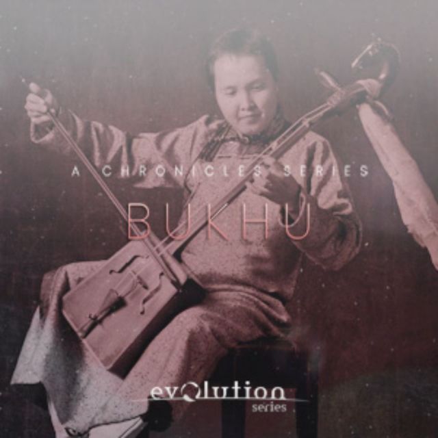 EVOLUTION SERIES/CHRONICLES BUKHU【～05/12 期間限定特価キャンペーン】【オンライン納品】【在庫あり】