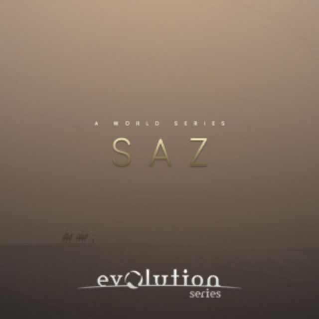 EVOLUTION SERIES/WORLD STRINGS SAZ【～05/12 期間限定特価キャンペーン】【オンライン納品】【在庫あり】