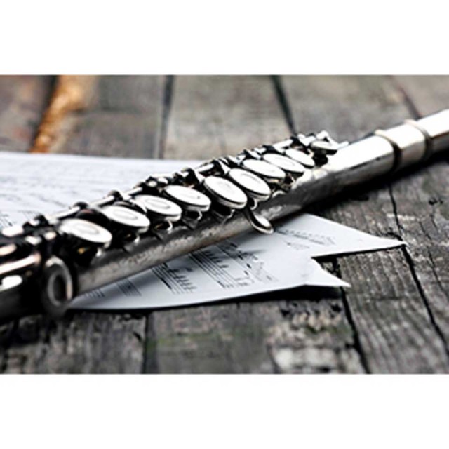 人気のクリスマスアイテムがいっぱい Audio Modeling Swam Solo Woodwinds 1oficioverde Com Br 人気のクリスマスアイテムがいっぱい Audio Modeling Swam Solo Woodwinds 1oficioverde Com Br