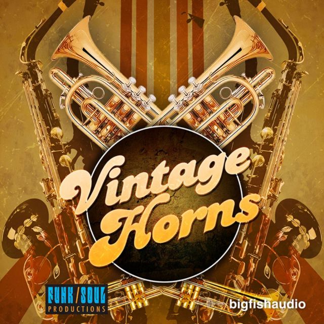 BIGFISHAUDIO/VINTAGEHORNS【オンライン納品】【在庫あり】