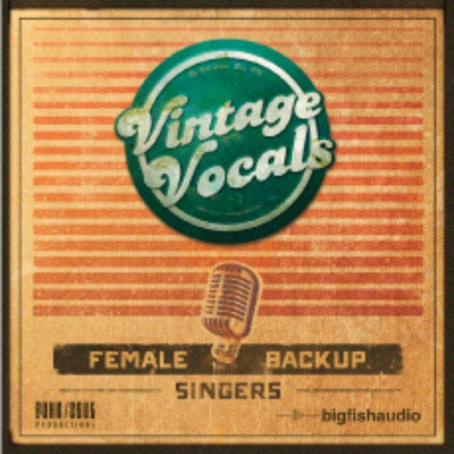 BIGFISHAUDIO/VINTAGEVOCALS【オンライン納品】【在庫あり】