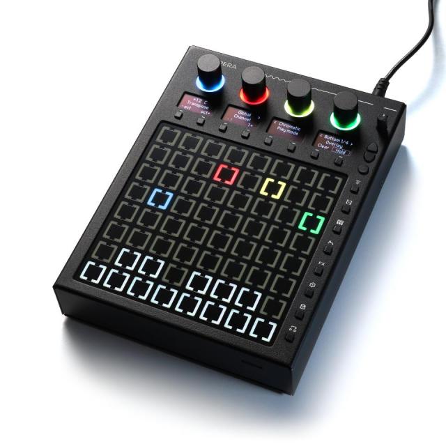 beetlecrab audio/Tempera【WTG】【在庫あり】