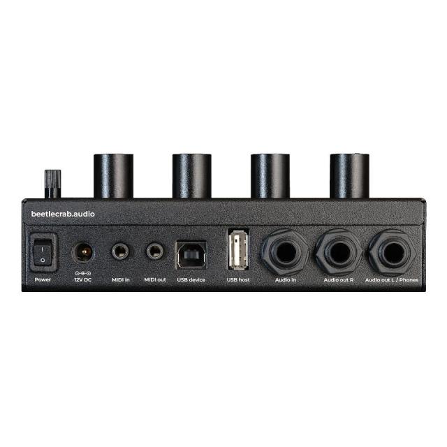 beetlecrab audio/Tempera【入荷待ち】