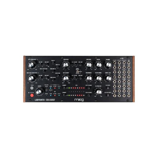 Moog/Labyrinth【数量限定特価キャンペーン】【在庫あり】【2506W2】