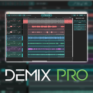 AUDIOSOURCERE/DEMIX PRO【オンライン納品】【在庫あり】