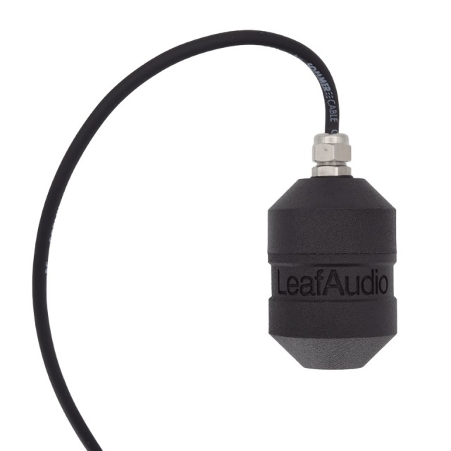 LeafAudio/Geophone L【WTG】【在庫あり】