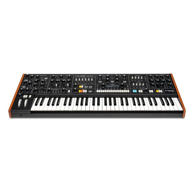 Moog/MUSE【在庫あり】