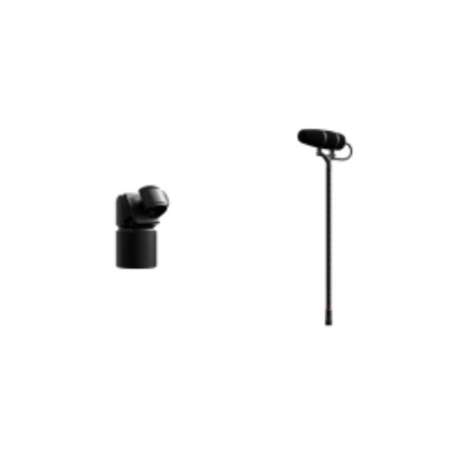 DPA MICROPHONES/4099-DP-1-101-MS