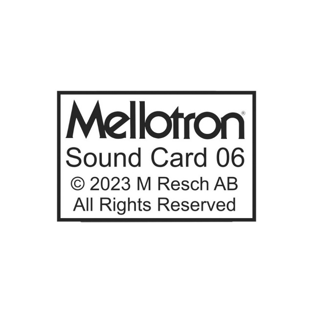 Mellotron/Sound Card 06