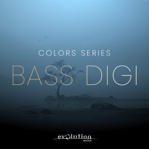 EVOLUTION SERIES/WORLD COLORS BASS DIZI【～05/12 期間限定特価キャンペーン】【オンライン納品】【在庫あり】