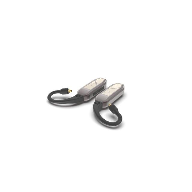 ifi Audio/GO pod MAX