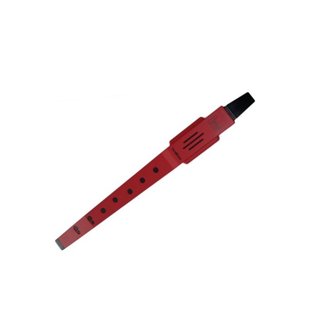 【新品未開封】Tahorn Elefue エレフエ　電子リコーダー 赤 楽天市場】電子リコーダー Elefue エレフエ EF10RD レッド AC