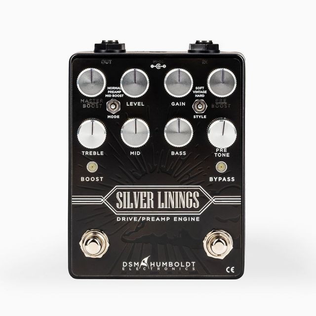 DSM & HUMBOLDT/SILVER LININGS