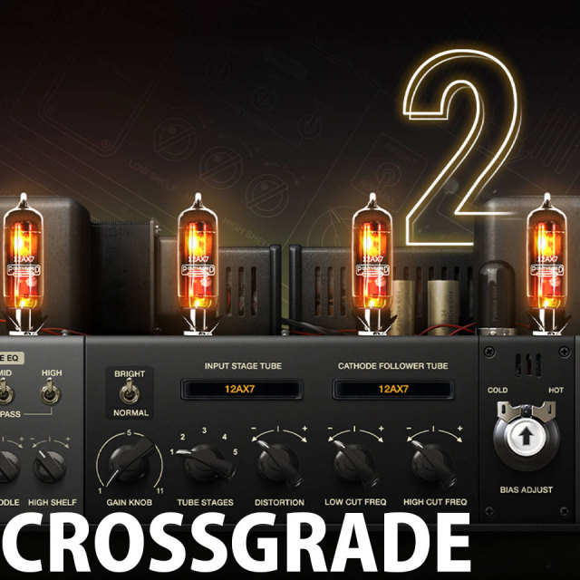 Positive Grid/Crossgrade BIAS FX 2 Pro to BIAS AMP 2 Pro【オンライン納品】