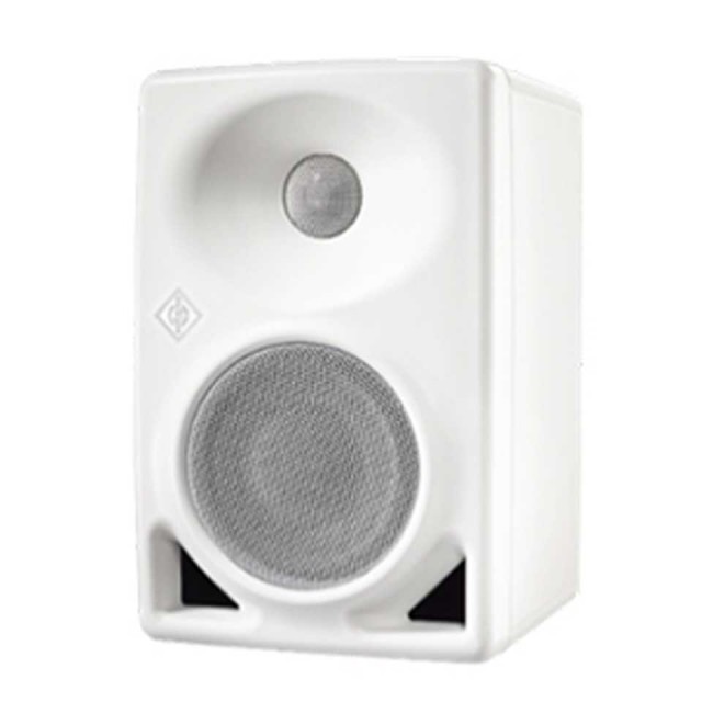 NEUMANN/KH 80 DSP A W (1本)