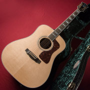 GUILD USA/D-55 NAT (Natural)【お取り寄せ商品】