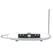 MOOG/THEREMINI【お取り寄せ商品】【納期未定】