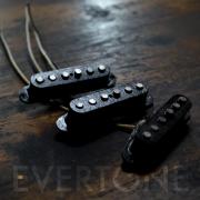 EVERTONE PICKUP/NEWTONE ST Class-S Gene set【お取り寄せ商品】