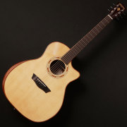 Washburn/G20SCE【在庫あり】