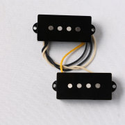 EVERTONE PICKUP/NEWTONE PB4 Gene set【お取り寄せ商品】