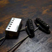 EVERTONE PICKUP/NEWTONE SSH Gene set【お取り寄せ商品】