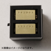 OX4 Pickups/HUMBUCKER Aged Gold Cover【お取り寄せ商品】
