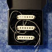 Total Gravy Guitarworks/69 Strat Set / Aged【お取り寄せ商品】