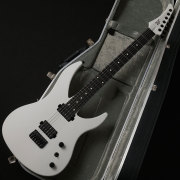 RUF Guitars/Master Schrodinger 6 (White)【在庫あり】