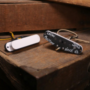 LOLLAR PICKUPS/Mustang【お取り寄せ商品】【送料無料】