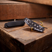 LOLLAR PICKUPS/Mustang Special【お取り寄せ商品】【送料無料】