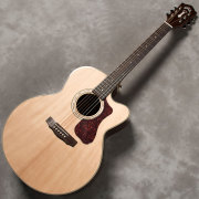 Guild D150 オール単板　美品　メンテ済　　　　　　　　PU付き Guild D150 オール単板 美品 メンテ済 PU付き Guild D150 オール単板