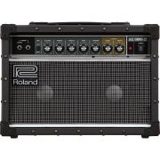 Roland/JC-22【お取り寄せ商品】