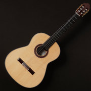 KODAIRA/AST-100S #46301【在庫あり】