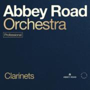 SPITFIRE AUDIO/ABBEY ROAD ORCHESTRA: CLARINETS PROFESSIONAL【オンライン納品】【在庫あり】