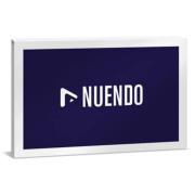 Steinberg/Nuendo 14 CG Competitive【オンライン納品】