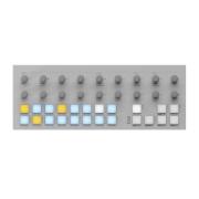 Torso Electronics/T-1 White Algorithmic Sequencer