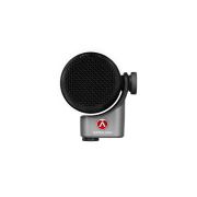 Austrian Audio/OC-B6【3/6発売予定】【ご予約受付中】