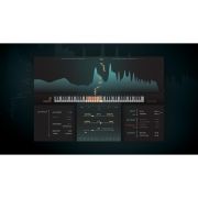 Softube/VocalTuner+Deesser【オンライン納品】