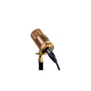 Ear Trumpet Labs/Wanda