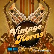 BIGFISHAUDIO/VINTAGEHORNS【オンライン納品】【在庫あり】