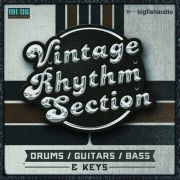 BIGFISHAUDIO/VINTAGERHYTHMSECTION【オンライン納品】【在庫あり】