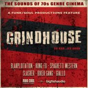 BIGFISHAUDIO/GRINDHOUSE【オンライン納品】【在庫あり】