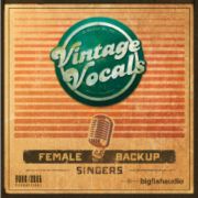 BIGFISHAUDIO/VINTAGEVOCALS【オンライン納品】【在庫あり】