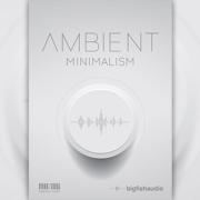 BIG FISH AUDIO/AMBIENT MINIMALISM【オンライン納品】【在庫あり】