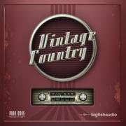 BIG FISH AUDIO/VINTAGE COUNTRY【オンライン納品】【在庫あり】