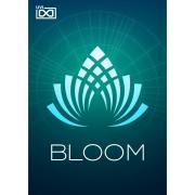 UVI/Bloom【～08/19 期間限定特価キャンペーン】【オンライン納品】