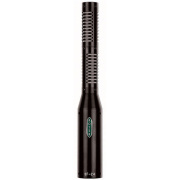 Royer Labs/SF-24【受注生産品】