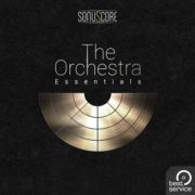 BEST SERVICE/THE ORCHESTRA ESSENTIALS【オンライン納品】【在庫あり】