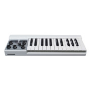 Mellotron/M4000D Micro