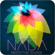 ENGINE AUDIO/NADA【オンライン納品】【在庫あり】